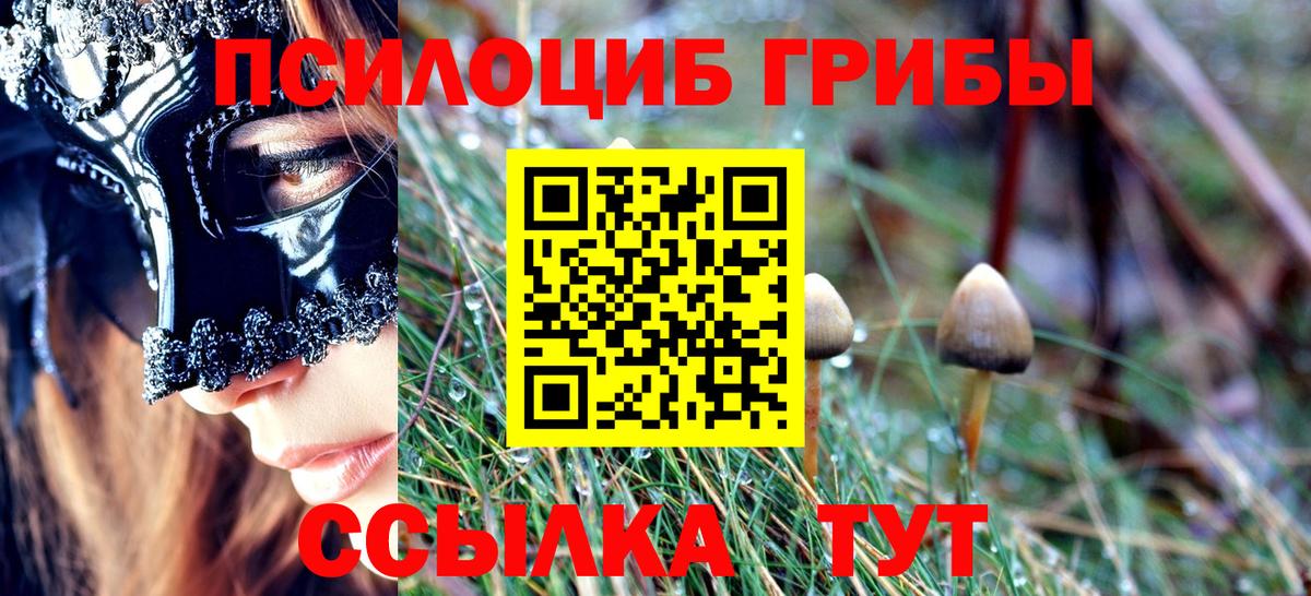 Галлюциногенные грибы Psilocybine cubensis  Псилоцибиновые грибы мицелий  Вход с VPN  Чапаевск 